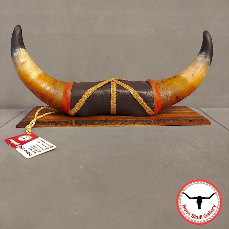 استند رومیزی شاخ گاو 