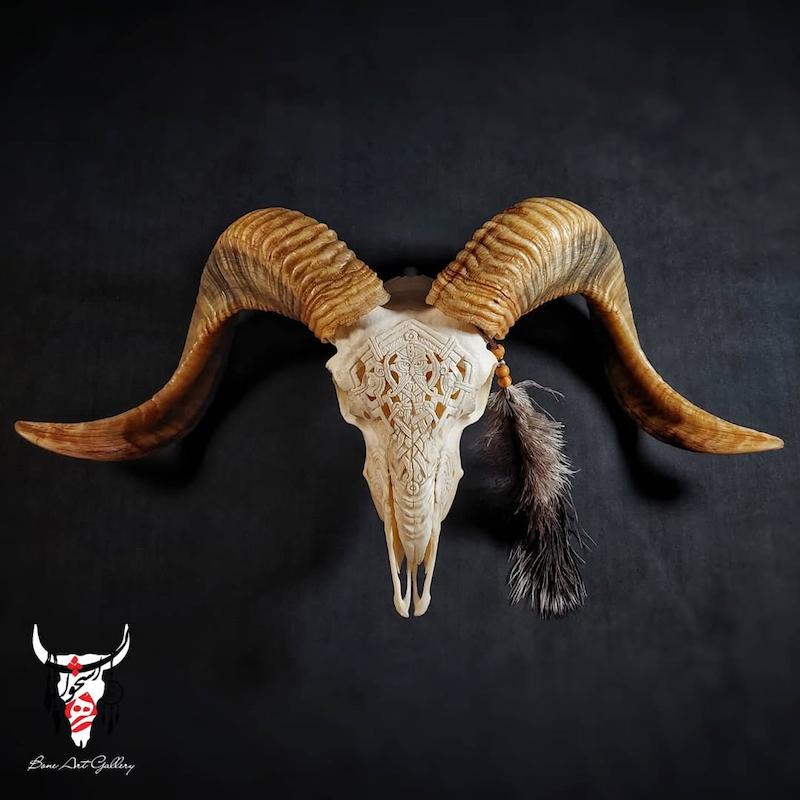 جمجمه قوچ حکاکی طرح ادوین