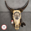 جمجمه گاو طرح اسکلت سرخپوست