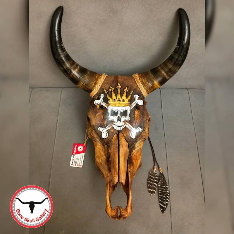 جمجمه گاو نقاشی طرح جمجمه