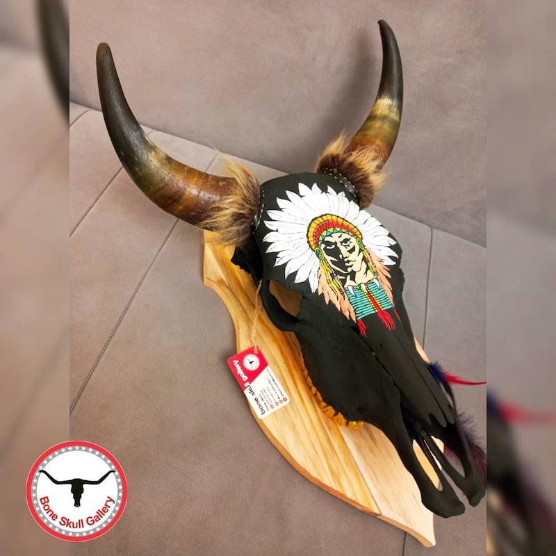 جمجمه گاو نقاشی طرح سرخپوست جوان