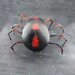 جمجمه انسان طرح عنکبوت