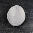 جمجمه انسان طرح زامبی