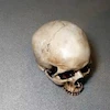 جمجمه انسان طرح کهنه کاری