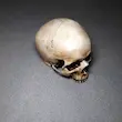 جمجمه انسان طرح کهنه کاری
