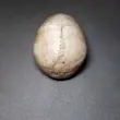 جمجمه انسان طرح کهنه کاری