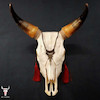 جمجمه گاو منگوله قرمز