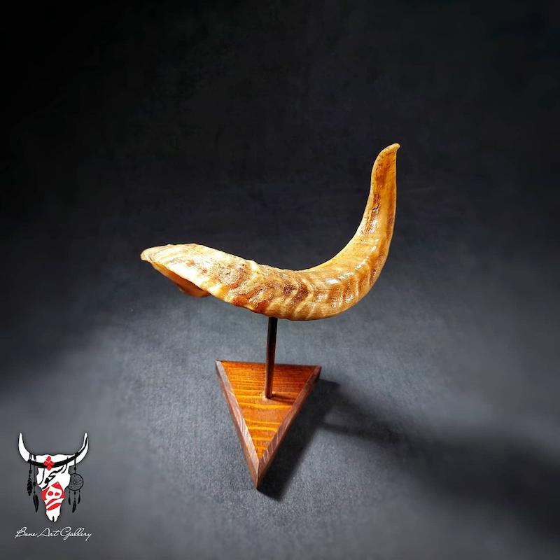استند رومیزی شاخ کاربردی