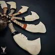 تبر فک پک ۷ عددی
