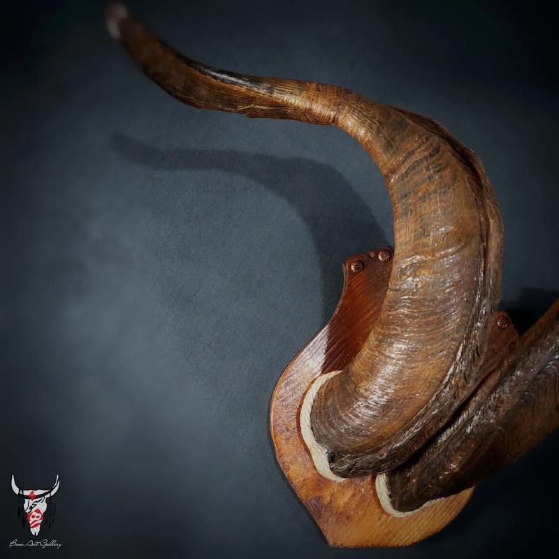 پنل دیوارکوب شاخ بز