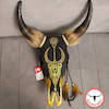جمجمه گاو نقاشی طرح لوگان