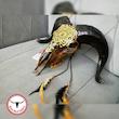جمجمه قوچ نقاشی طرح گراپو