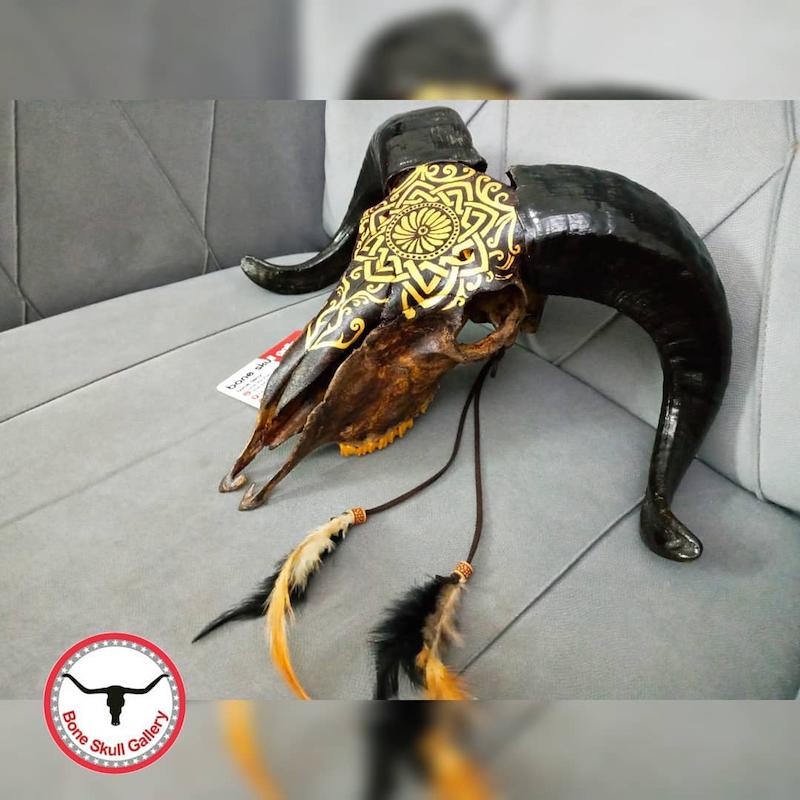 جمجمه قوچ نقاشی طرح گراپو