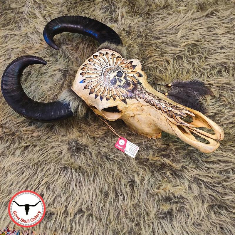 جمجمه گاومیش نقاشی طرح سرخپوست