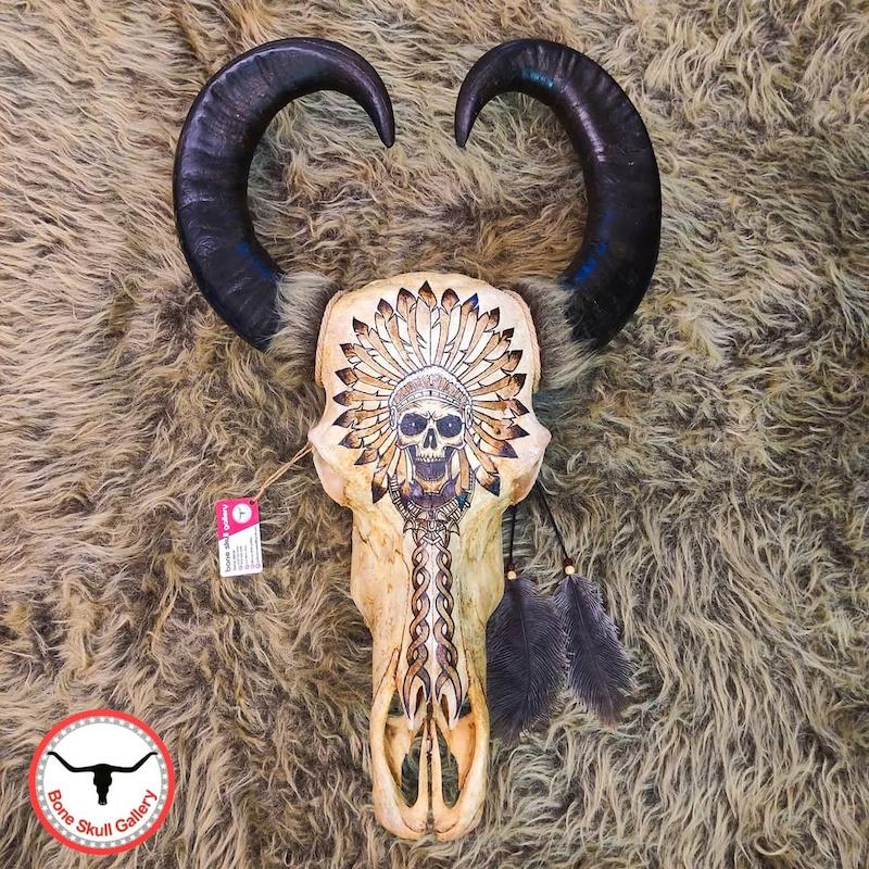 جمجمه گاومیش نقاشی طرح سرخپوست