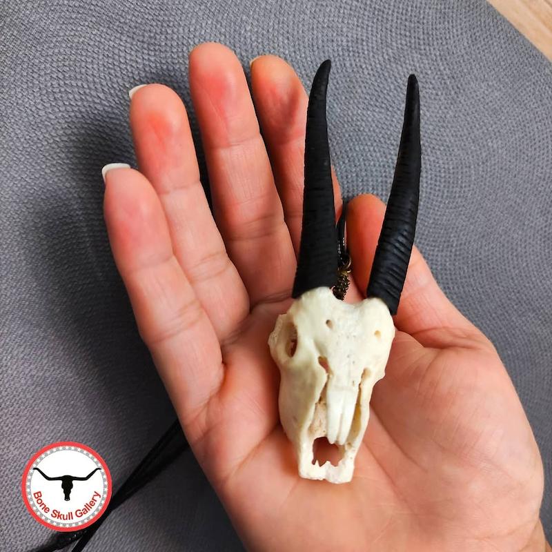 گردنبند مینی جمجمه غزال