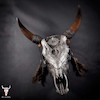 جمجمه گاو حکاکی طرح بال فرشته