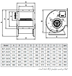 BEF-20/20A4S سانتریفیوژ دوطرفه فوروارد