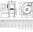 BEF-20/10A4S سانتریفیوژ یک طرفه فوروارد