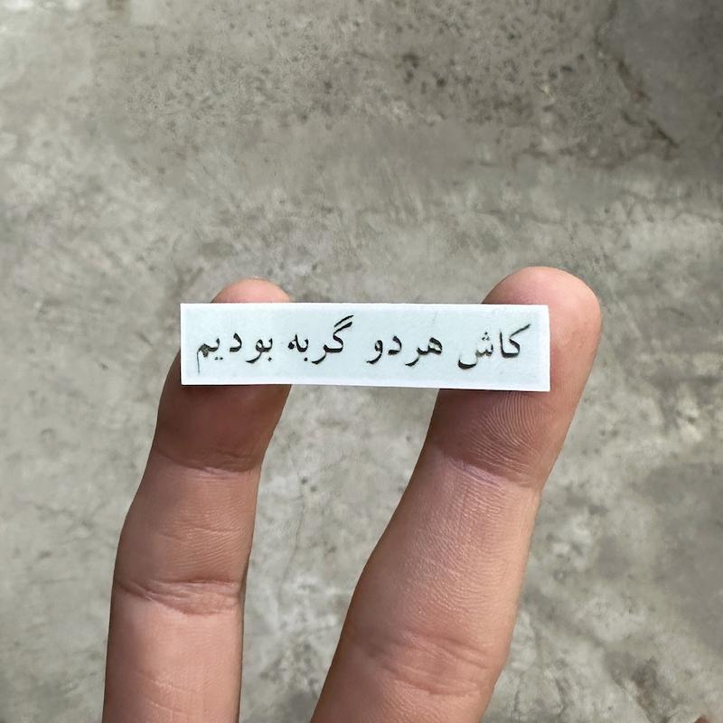 استيكر "كاش هر دو گربه بوديم"