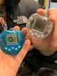 کنسول مدل Virtual Pet مشابه تاماگوچی وارداتی پینترسی