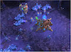 بازی کامپیوتر StarCraft II: Wings of Liberty
