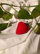 باکس انگشتر توت فرنگی 🍓