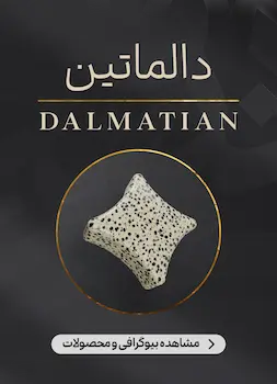 محصولات و اطلاعات سنگ جاسپر دالماتین