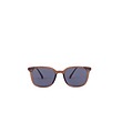 عینک آفتابی مدل Rose Merry sunglasses - SG7-161