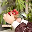 عبای نبات
