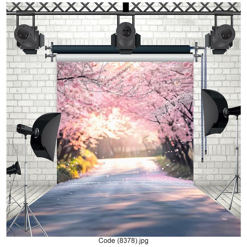 بکدراپ عکاسی۸378