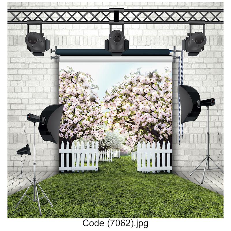 بکدراپ عکاسی 7062