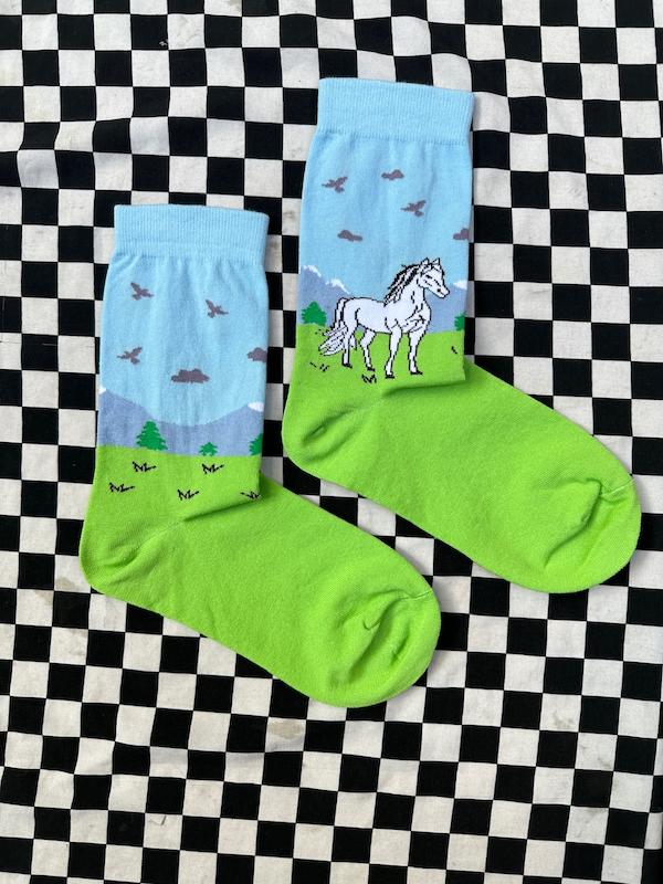 جوراب اسب در دشت