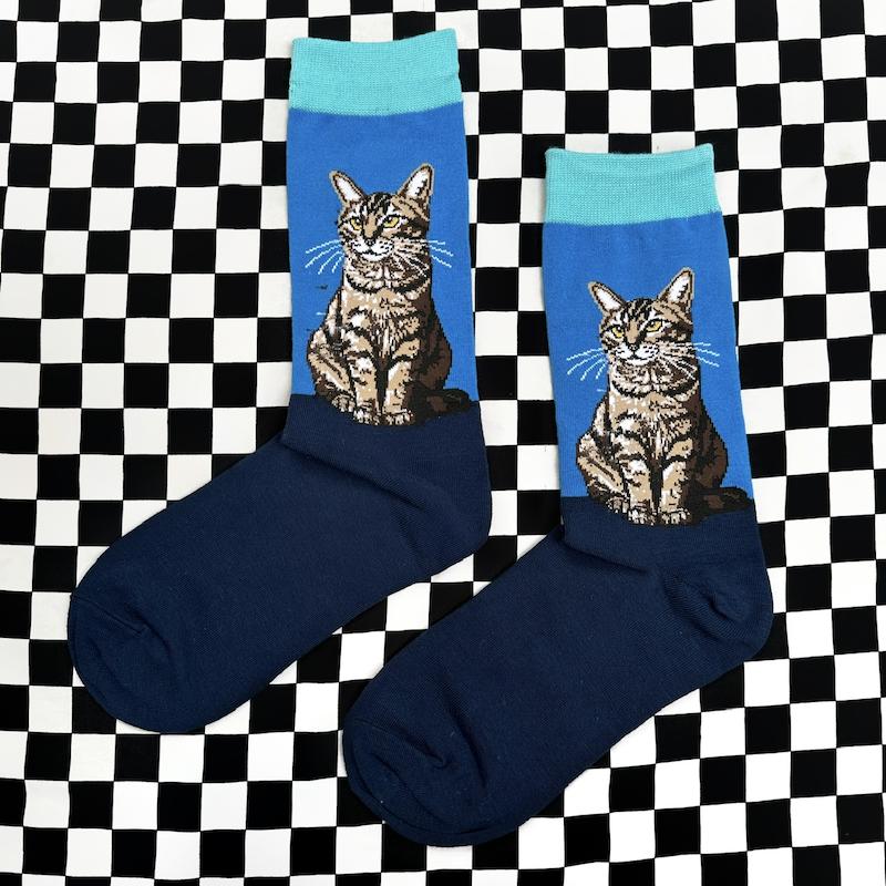 جوراب tabby عصبانی