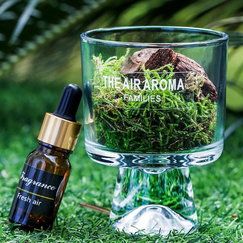 خوشبوکننده مدل خزه رایحه جنگلی 