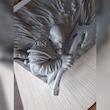 تابلو نقش برجسته کراتوس