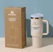 تراول ماگ استنلی Stanley 