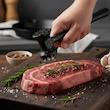 بیفتک‌کوب دوطرفه طرح گرانیت شنگیا SHENGYA