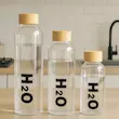 بطری آب پیرکس H2o درب بامبو