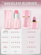 رژگونه استیکی کَره ای شیگلم SHEGLAM رنگ Hush Hush