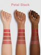 رژلب جامد ٤ در ١ شیگلم مدل nude bare stack
