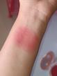 رژگونه خیس olibolla