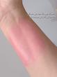 رژگونه حرارتی کرومی