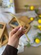 نی رنگی پیرکس همراه با فرچه