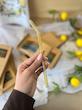 نی رنگی پیرکس همراه با فرچه