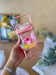 قمقمه وارداتی استیچ دوحالته