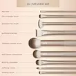 ست براش ۹ تکه au natural ریل تکنیک Real Techniques 