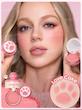 رژگونه پودری پنجه گربه ای شیگلم SHEGLAM رنگ Love cake 