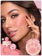 رژگونه پودری پنجه گربه ای شیگلم SHEGLAM رنگ Love cake 