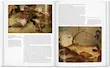 کتاب Bruegel
